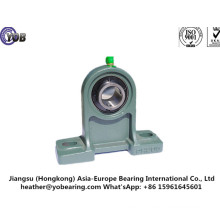 High Load Plummer with High Load Capacity Pillow Block Bearing